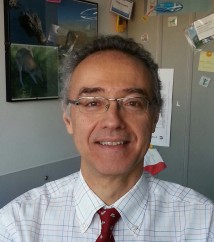 Guido Cavaletti