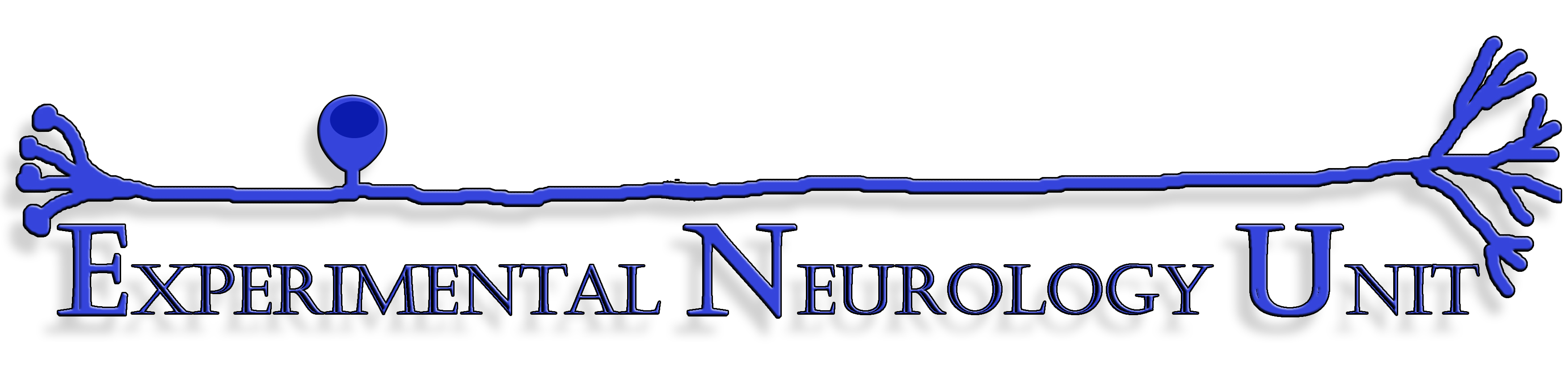 Experimental Neurology Unit – School of Medicine and Surgery – University of Milano-Bicocca