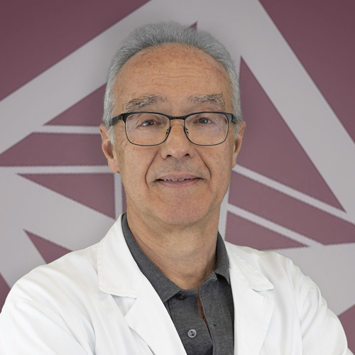Guido Cavaletti