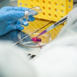 In vitro studies