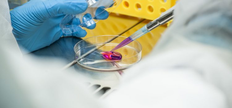 Cell cultures