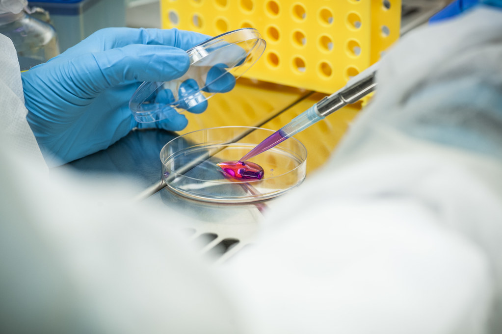 Cell cultures
