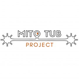 Understanding the role of tubulin post-translational modification and mitochondrial impairment in bortezomib-induced peripheral neurotoxicity